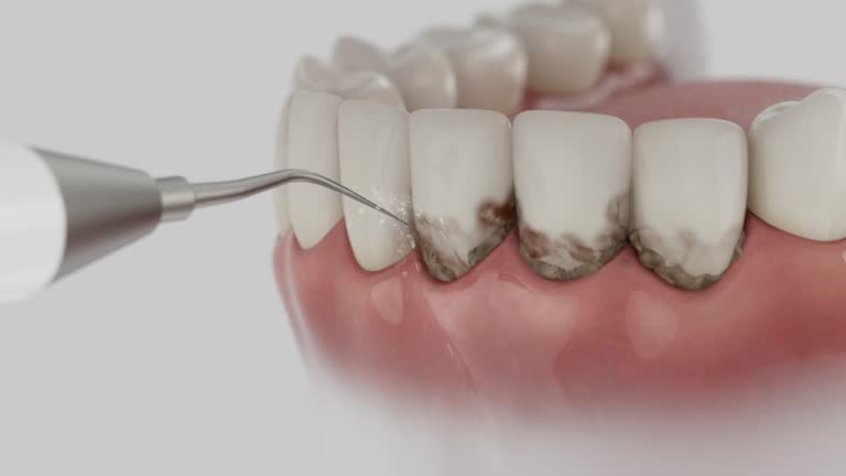 Reliable Dental contractor in Dundalk, MD by Dentist Open Now
